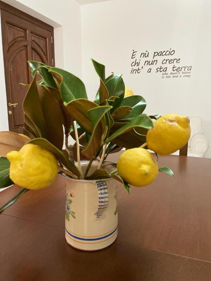 B&B Casa Letizia Trentinara Εξωτερικό φωτογραφία